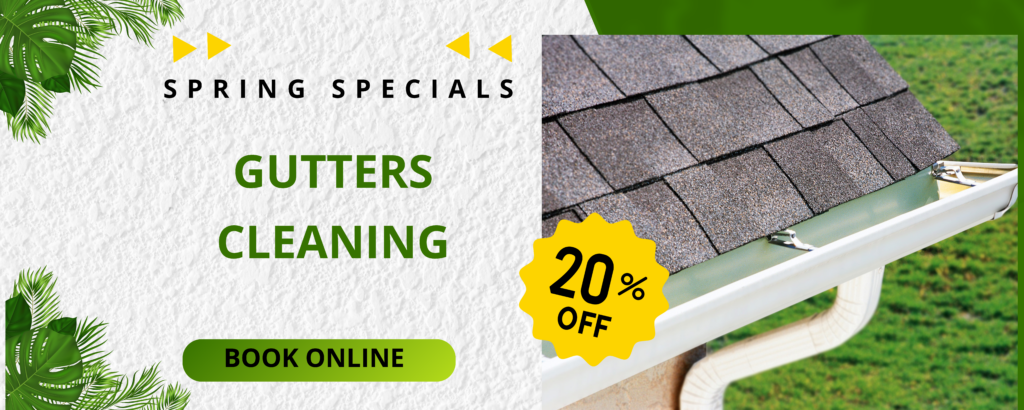 Gutters cleaning in Raleigh - Durham - Cary- Apex - Chapel Hill