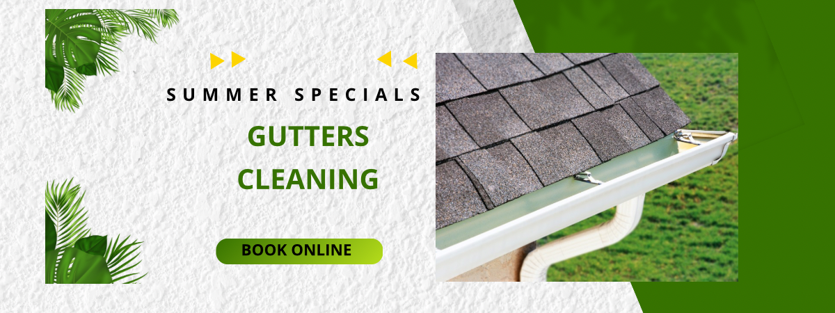 Gutters Cleaning